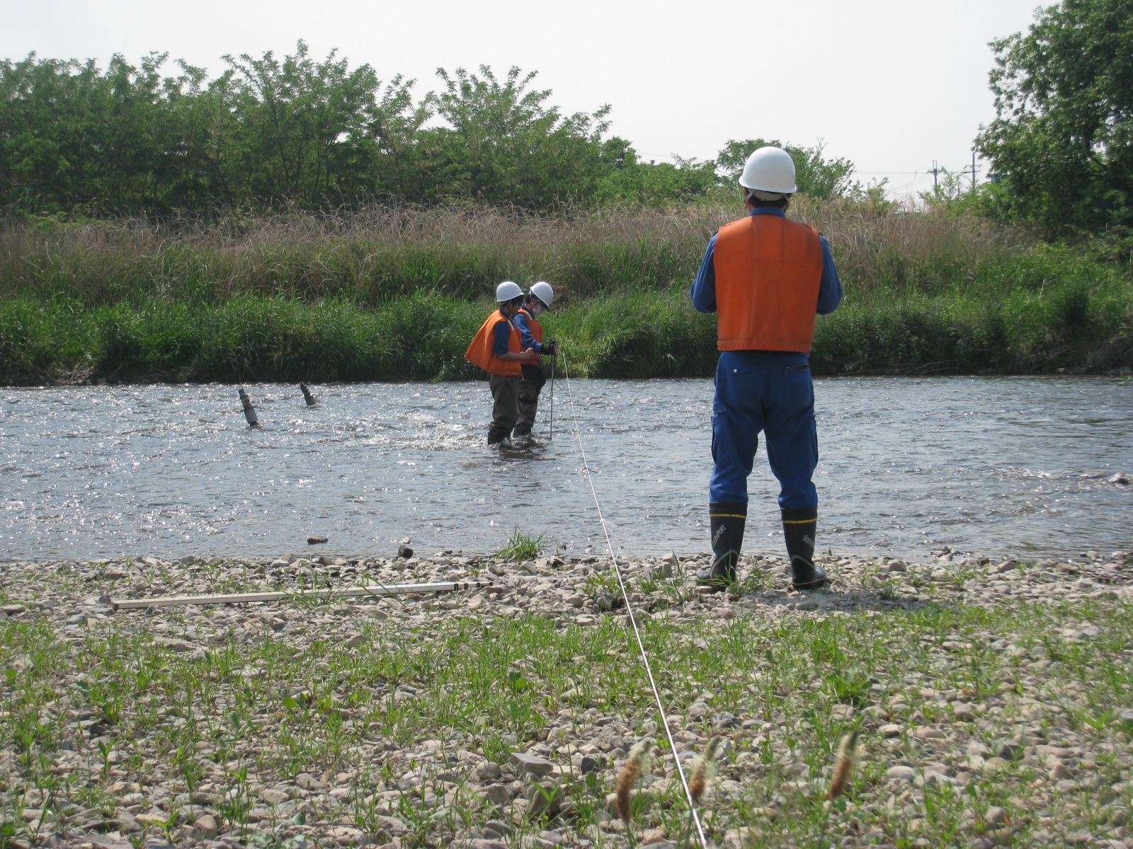 低水流量(徒歩)観測風景