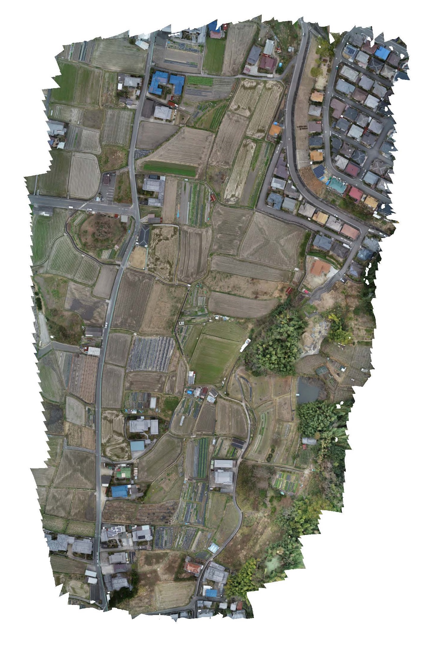 上空からの撮影画像